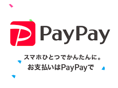 ヘア・アイラッシュ・ネイル「グレープバイン / レミア」のニュース記事「順次PayPayが使用可能になります。」